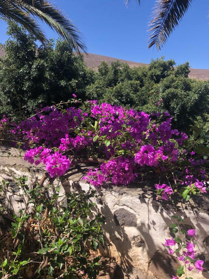 Los Tunos Campo Internacional Villa Maspalomas  Eksteriør billede